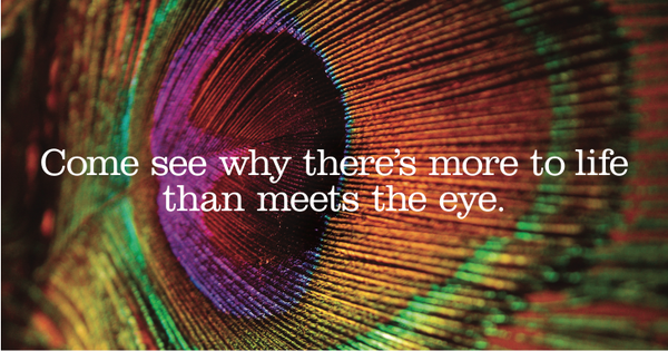 Open your mind, not your wallet: free week of self-discovery classes at @KabbalahExp! http://t.co/4xr6VDdwxk http://t.co/FlvLIp0tRL
